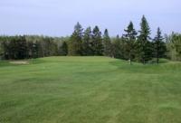 Turf Management